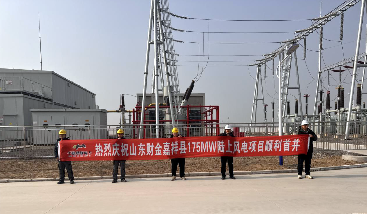 山东财金嘉祥175MW风电项目